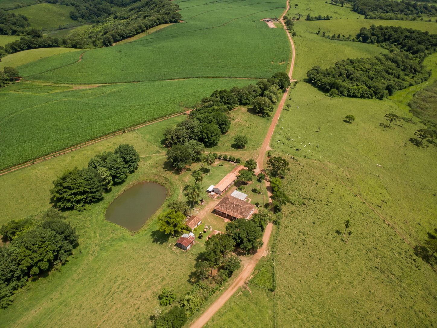 Composição costurada de várias fotografias aéreas formando um mosaico georreferenciado contínuo