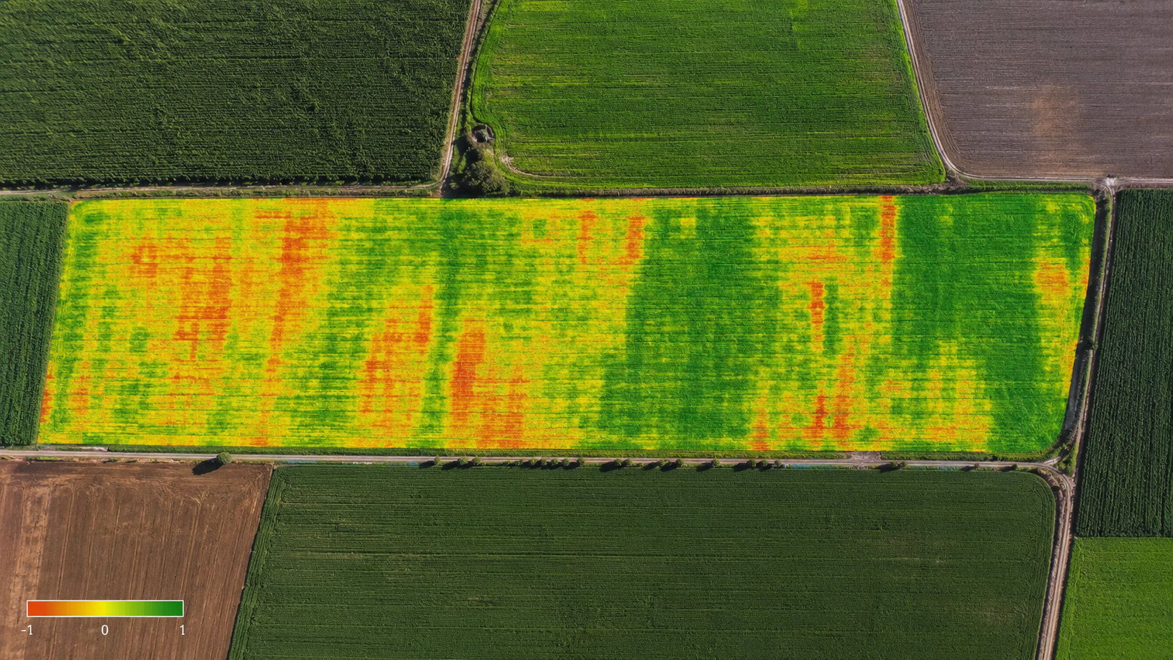 Mapeamento de Áreas Irrigadas e Pivôs com Drone: O Que É Possível Analisar?
