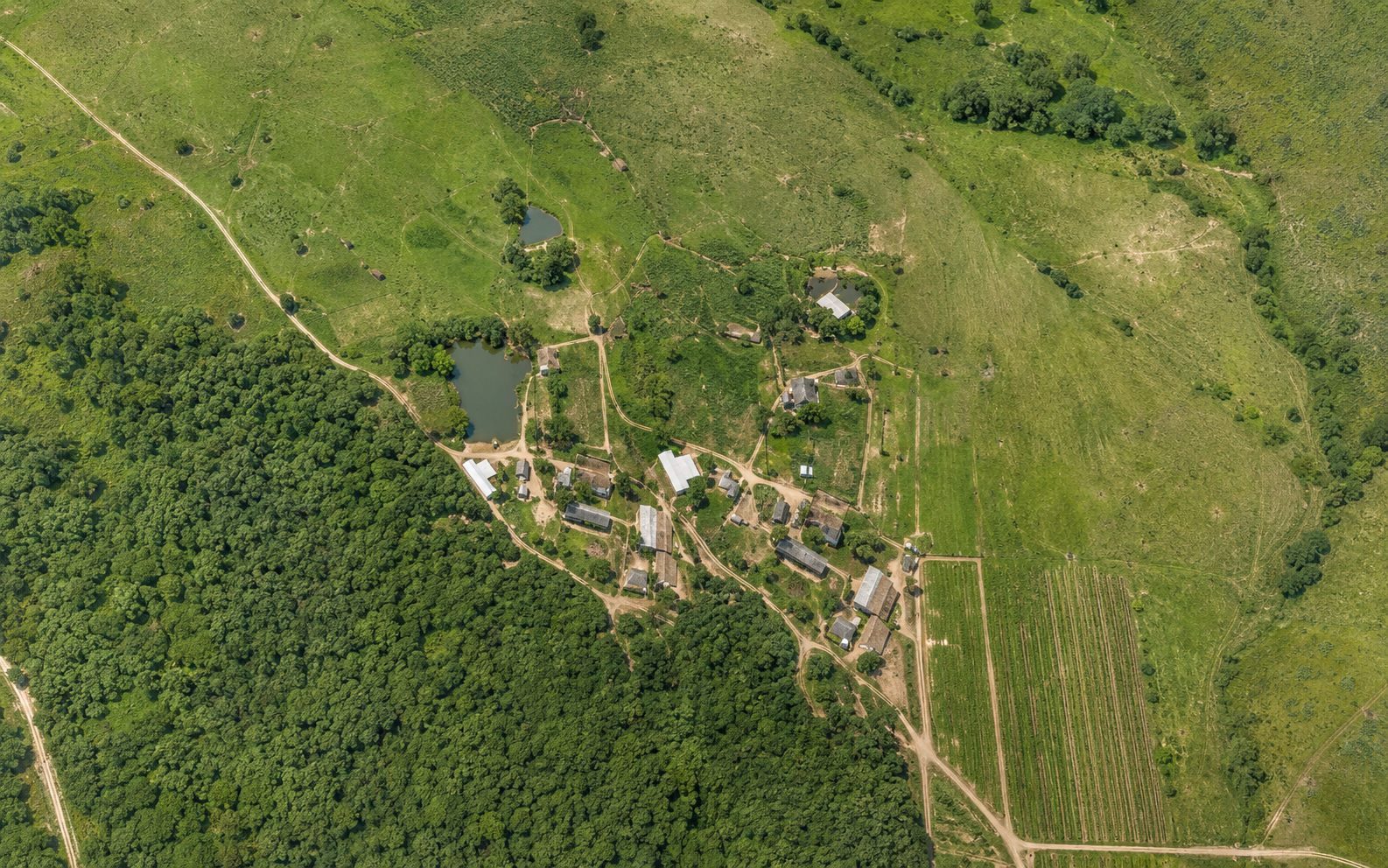 Ortomosaico georreferenciado de propriedade rural
